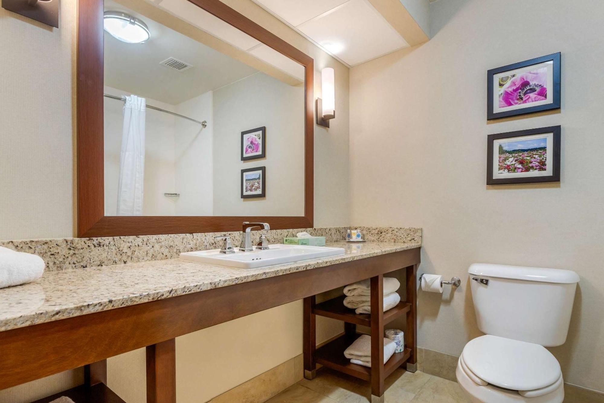 Comfort Suites Gastonia - Charlotte Bagian luar foto